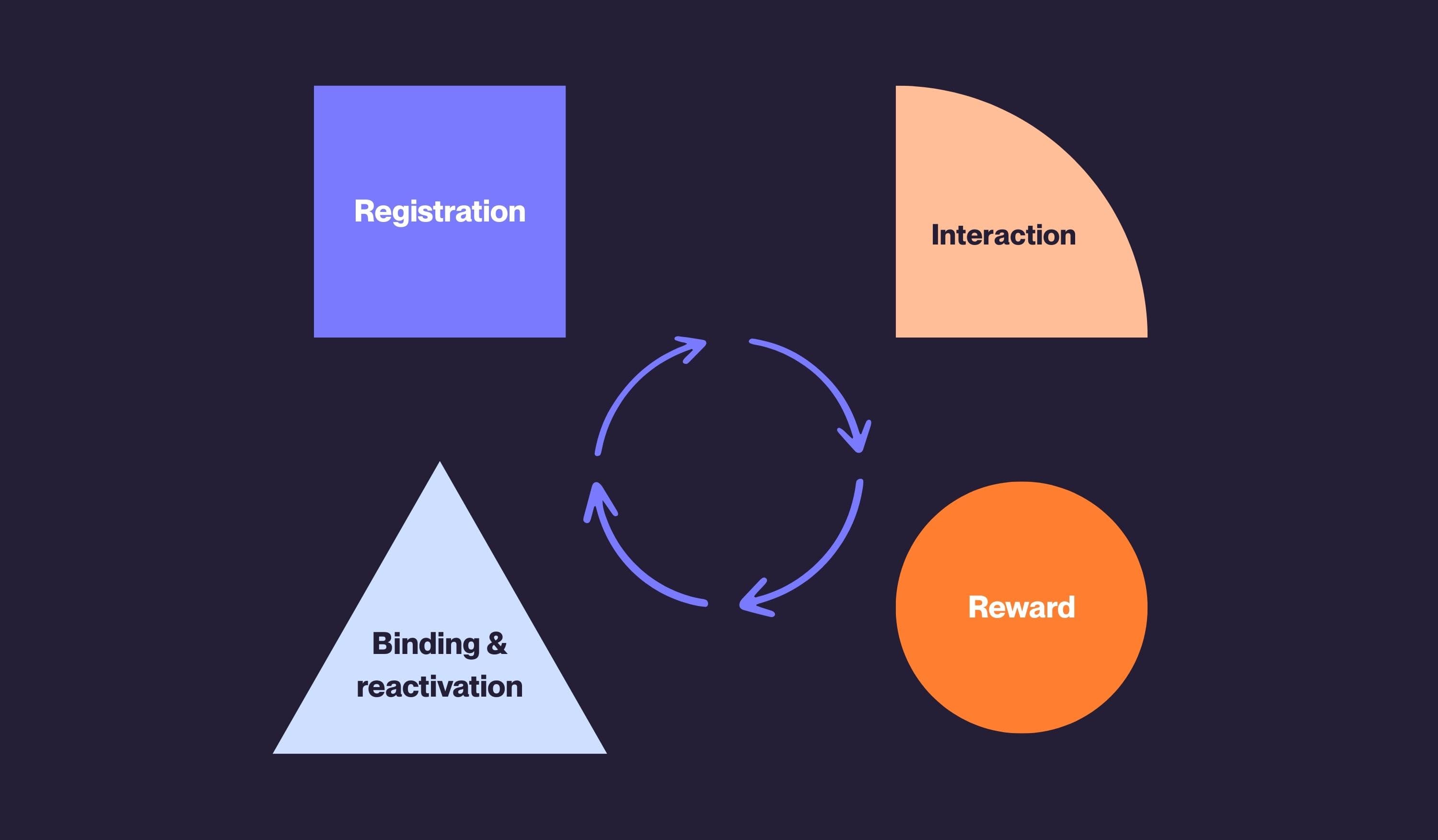 Graphic showing the four phases of a loyalty cycle: registration, interaction, reward, and retention and reactivation, linked by a circular process.